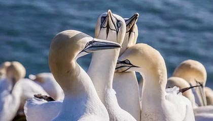 曲靖最新怎么提现公积金卡里的钱方法分析(最方便真实的曲靖怎么将公积金提现方法)