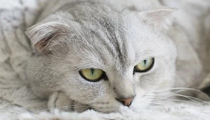 曲靖最新公积金卡提取现金方法app方法分析(最方便真实的曲靖公积金卡怎样从手机里取出来?方法)