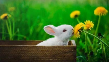 曲靖最新公积金卡提取现金方法app方法分析(最方便真实的曲靖公积金卡怎样从手机里取出来?方法)